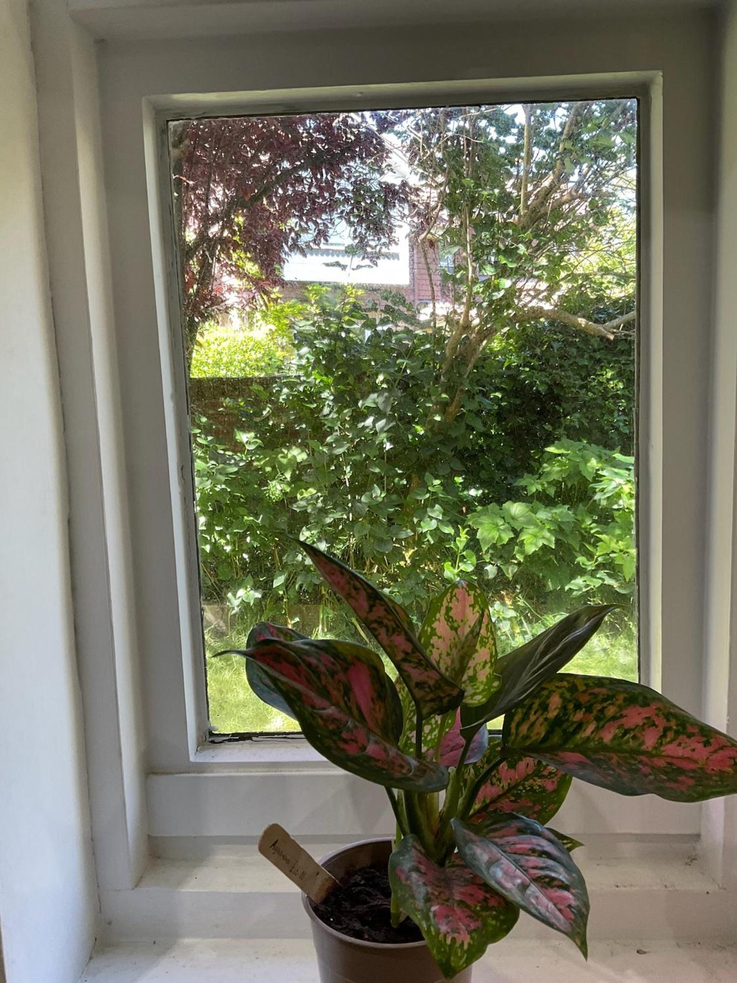 Lewes Garden Room - Free Parking Luaran gambar